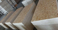 No Seasonal Effect Oriented Strand Board Plywood With Eucalyptus Core Material