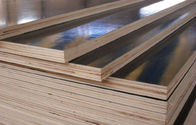 Double Sided Prefinished Plywood Panels / Eco Friendly Film Faced Birch Plywood Sheets