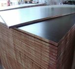 Environmental Protection Brown Film Faced Plywood With Both Sides Melamine Covered